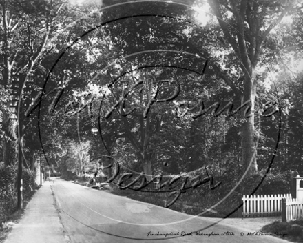 Finchampstead Road, Wokingham in Berkshire c1920s