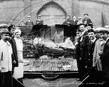 Picture of Berks - Wokingham, Ox Roasting 1911 - N1363