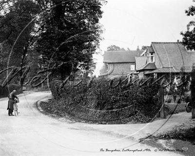 Picture of Berks - Easthampstead, The Bungalows - N1465