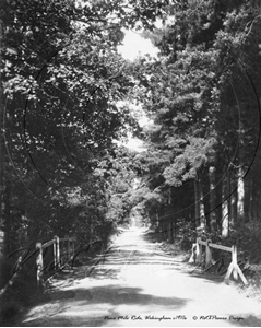 Picture of Berks - Wokingham, Nine Mile Ride c1910s - N1664