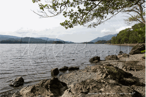 Picture of Cumbria - Derwentwater 2010 - N1868