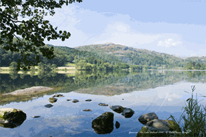 Picture of Cumbria - Grasmere Reflections 2010 - N1871