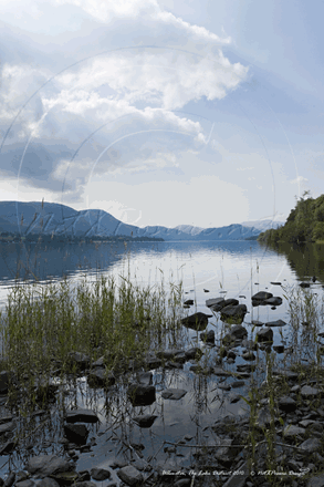 Picture of Cumbria - Ullswater, The Lakes 2010 - N1875