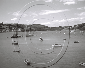 Picture of Devon - River Dart c1950s - N092