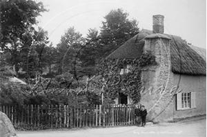 Picture of Devon - Bovey Village c1890s - N2453