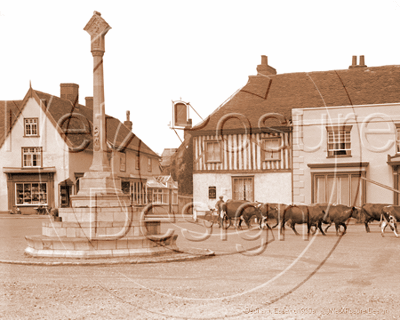 Picture of Essex - Dedham & Cattle c1930s - N410