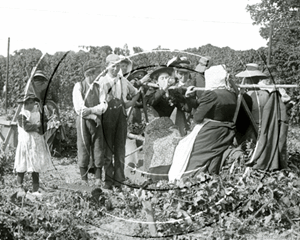 Picture of Kent - Hop Pickers c1890s - N267