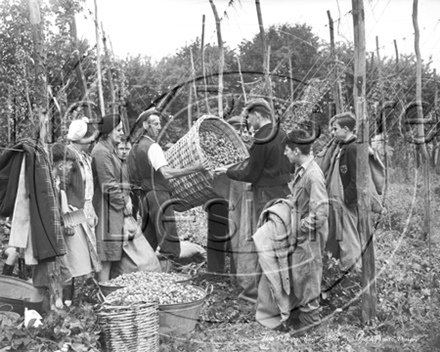 Picture of Kent - Hop Pickers c1950s - N835