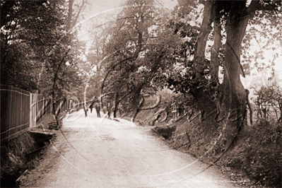 Whitefoot Lane, Catford in South East London c1910s