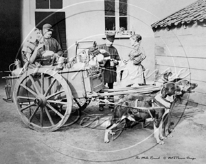Picture of Misc - Milkmen and Dog Cart c1900s - N1129