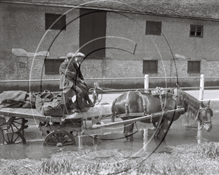 Picture of Suffolk - Havenham Countrylife c1930s - N060