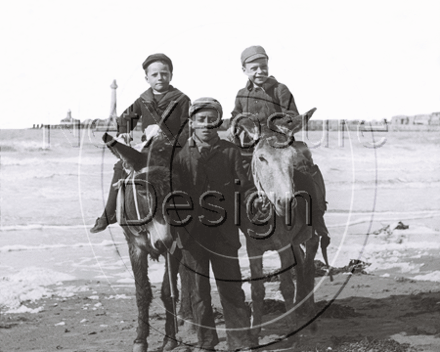 Donkey Rides on Brighton Beach in Sussex c1890s