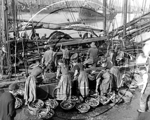 Picture of Yorks - Scarborough, Gipping Herrings 1900s - N386