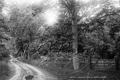 Mill Lane, Easthampstead in Berkshire c1900s