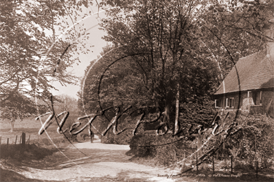 Picture of Hants - Basingstoke, Brambly Lane  c1900s - N2661