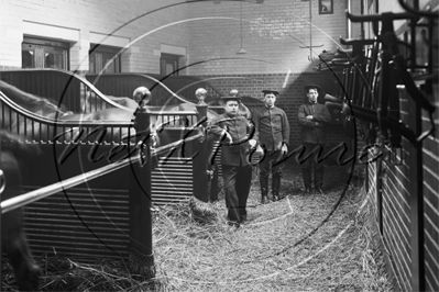 Horse Stable with Fireman in Knightsbridge Fire Station in London c1907