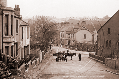 Picture of Cumbria - Workington, Harrington Eller Bank c1900s - N3110