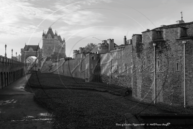 Tower of London with Tower Bridge  on Remembrance Day 2014, with the Tower Poppies