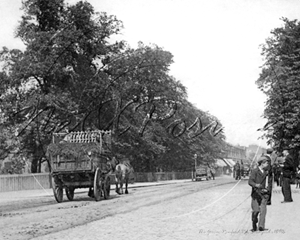 Picture of London, E - Stratford, Romford Road, The Green c1890s - N508