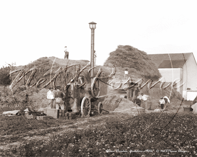 Picture of Yorks - Steam Threasher c1900s - N983