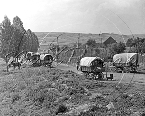 Picture of Misc - Gypsy, Travellers Caravan's c1890s - N560