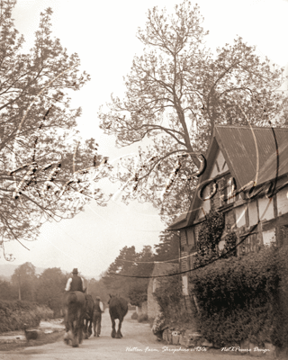 Picture of Shropshire - Hatton Farm c1930s - N408