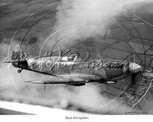 Picture of Transport - Mark XVI Spitfire Plane - N1010