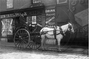 Picture of Cornwall - St Just, Horse and Cart c1900s - N3467