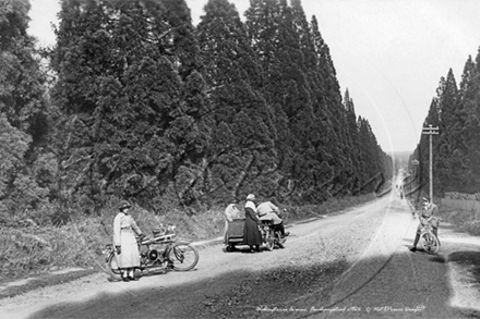 Picture of Berks - Finchampstead, Wellingtonia Avenue & The Ridges c1926 - N3730