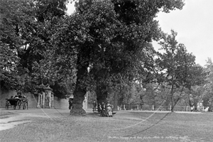 Streatham Common North Side in South West London c1900s