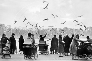 Picture of London - Hyde Park, Feeding the Birds c1920s - N4101