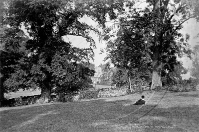 Picture of Northants - Harlestone c1890s - N4189