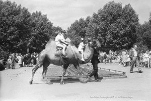 Picture of London - London Zoo c1939 - N4091