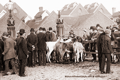 Picture of London, N - Caledonian Cattle Market, The Poets Corner c1890s - N4326