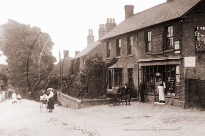 Local Shops, The Village, Child Okeford in Dorset c1900s