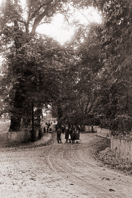 Picture of Berks - Binfield c1900s - N4628