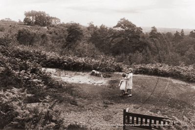 Picture of Berks - Finchampstead, Finchampstead Ridges c1930s - N4690