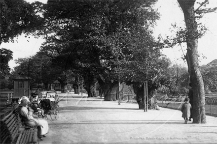 Picture of London, SE - Dulwich, Dulwich Park c1920s - N4945