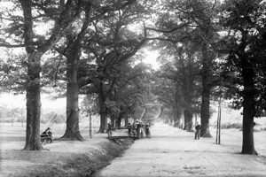Tooting Bec Common in South West London c1899