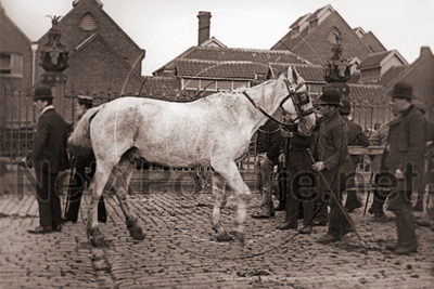 Picture of London, N - Caledonian Cattle Market c1893 - N5343